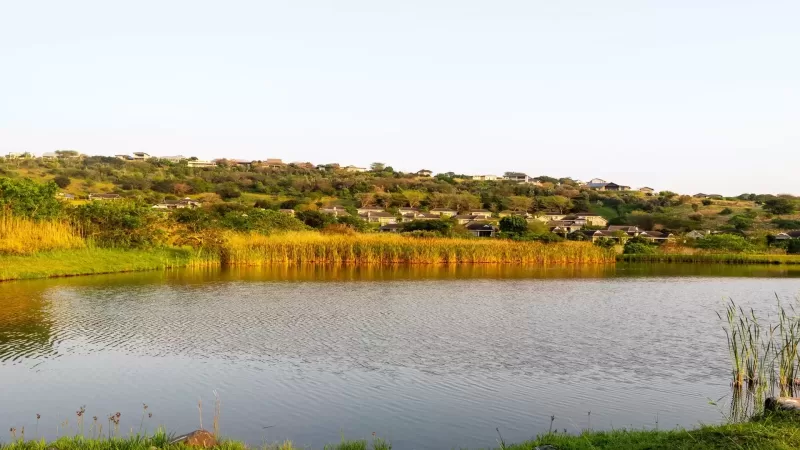 Zini River Estate Homeowners